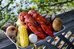 Lobster