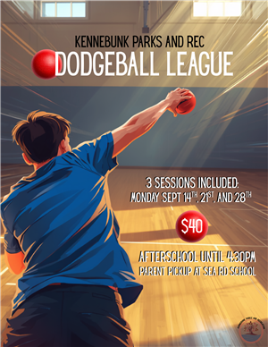 Dodgeball League