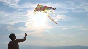 fly